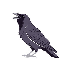 Illustration of a common raven or crow standing with its beak open, side profile