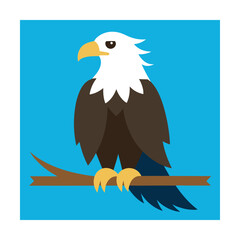 Majestic bald eagle perched on branch wildlife bird