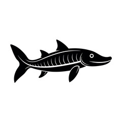 vector illustration of a fish