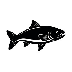 fish on a white background