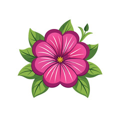 pink flower isolated on white background