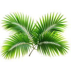 Obraz premium Zen-Inspired Botanical Palm Leaves in 3D – Minimalist Wellness Element on Transparent PNG