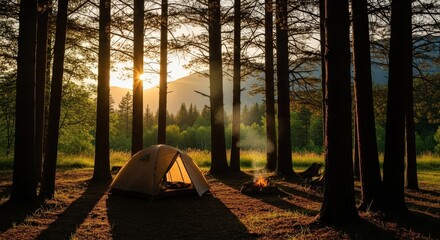 Illuminated tent and smoking campfire at sunrise among tall pine forest. Travel and nature adventure camping scene.