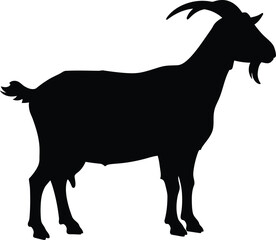 A silhouette of a robust goat. The majestic creature stands tall and proud against a stark background. Its horns curve gracefully, and beard adds to its noble appearance.