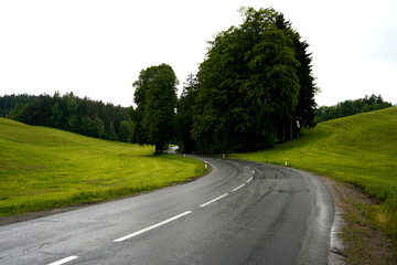 A winding road leads through small hills into a dense forest, inviting exploration and adventure. Scenic natural landscape with greenery and gentle terrain.

