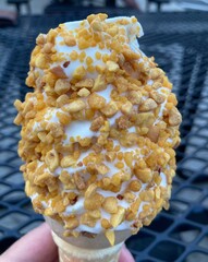 ice cream with crunch coat