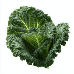 Close-up of a Vibrant Green Cabbage Leaf , PNG isolated cut out image