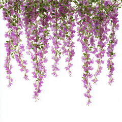 Naklejka premium Beautiful Pink Hanging Flowers , PNG isolated cut out image