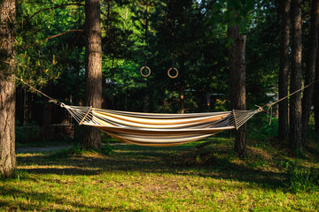 Comfortable hammock hanging between two pine trees in a relaxing summer forest setting, creating a peaceful atmosphere for rest and leisure, smiley face made from hammock and gym rings