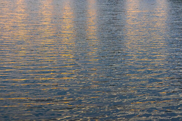 Small waves on the water surface in the morning or evening. Natural background of blue wavy surface with yellow-orange reflection of light