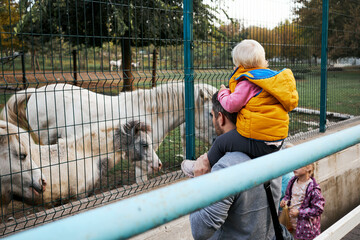 A child on a man's shoulders observes ponies through a fence, with another child nearby