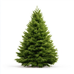 Obraz premium Majestic Christmas Tree - A Perfect Holiday Decor , PNG isolated cut out image