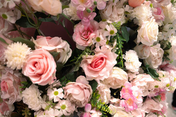 A vibrant close up pink red yellow white rose field blooming in a variety of types and colors, bringing a sense of freshness and relaxation rose garden background on summer spring season