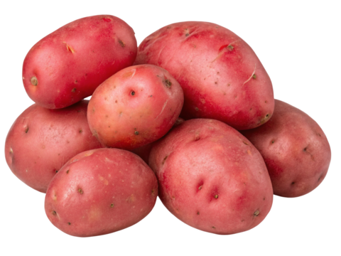 A close up shot showing a group of seven red potatoes piled together on a white background surface area