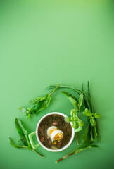 Traditional Ukrainian sorrel borscht with egg on green background