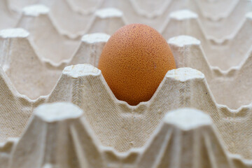 Brown Chicken eggs are placed in a recycled cardboard carton. Some have small specks of dirt, feathers, emphasizing their organic, farm-fresh quality. Perfect for culinary dishes and nutritious meals