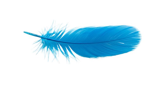 A vibrant blue feather floats gently a symbol of peace and freedom on a black backdrop on transparent background - Powered by Adobe