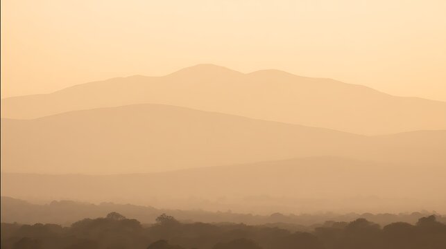 Misty mountains at dawn golden glow