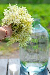 champagne from elder flowers. Selective focus.