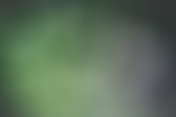 green and gray blurry texture