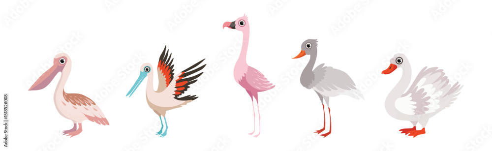 Poster different bird and avian species with beak and wing vector set