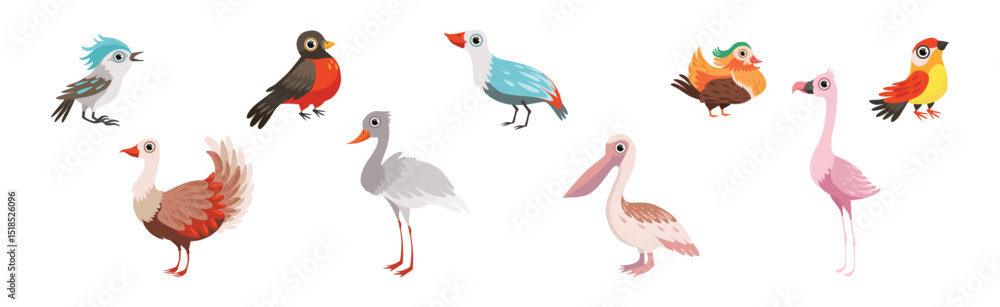 Poster different bird and avian species with beak and wing vector set