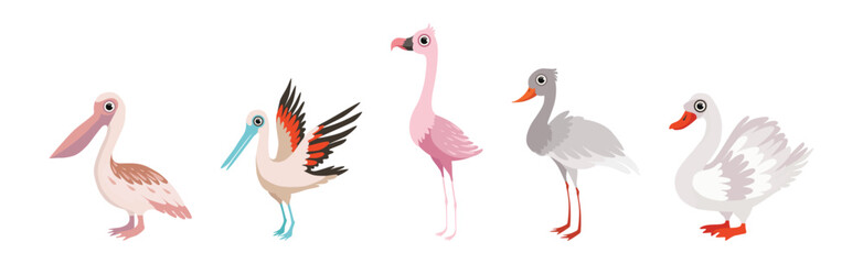 Different Bird and Avian Species with Beak and Wing Vector Set
