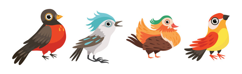 Different Bird and Avian Species with Beak and Wing Vector Set