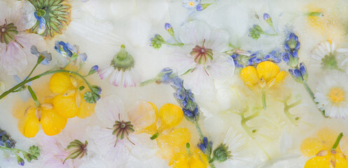 seamless artistic colorful wallpaper with flowers from the field frozen in ice; daisy, buttercup, clover, lavender, geranium