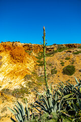 Frühsommerliche Wanderung an der wunderschönen Algarve vor den Toren der Hafenstadt Sagres -...