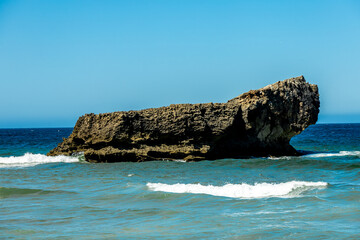 Fototapeta premium Frühsommerliche Wanderung an der wunderschönen Algarve vor den Toren der Hafenstadt Sagres - Portugal 