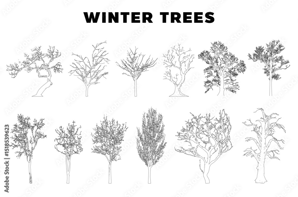 Aufkleber Winter tree. Minimal style cad tree line, Side view, set of graphics trees elements outline symbol for architecture and landscape design drawing. Vector illustration in stroke fill in white. Tropical