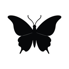 butterfly vector illustration