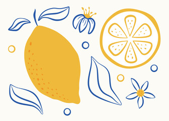 Contemporary poster with lemons fruits. Hand drawn citrus tropical fruits in trendy sketch style. Vector illustration of lemon in yellow and blue colors. 