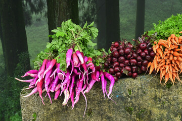 Mules, Beets and carrots , vegetables are being sold at roadside market, Darjeeling, West Bengal,...