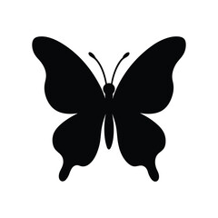 butterfly on white background