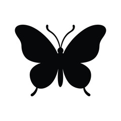 butterfly vector illustration