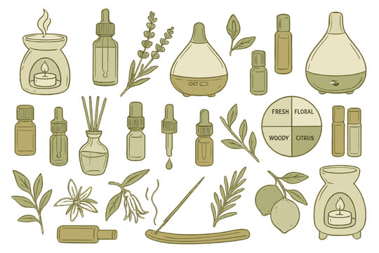 Aromatherapy collection featuring essential oils, diffusers, and natural elements in a calming design