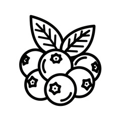Outline Icon of a Cluster of Blueberries with Leaves