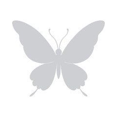butterfly on white background