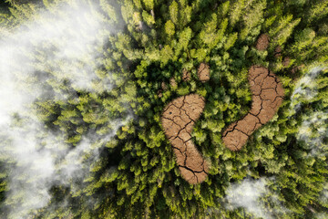 A man leaves a trail. Negative impact on nature and ecology. Forest cutting. Harm the environment....