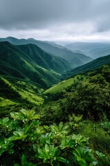 Fototapeta premium Rolling Green Hills in a Cloudy Mountain Range