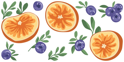 Vector set of images of blueberries and oranges. Cut citrus fruits with orange tree branches. Juicy berries with green leaves. Stickers. Elements for decoration.
