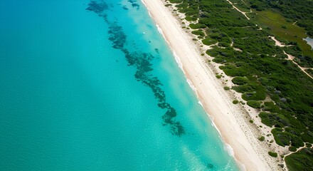 Aerial view of pristine turquoise waters and sandy coastline.