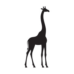 Flat black vector silhouette of a giraffe standing