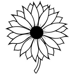 black and white flower