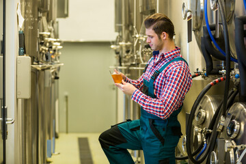 Male brewer in overalls kneeling by brewery tanks examining glass of pale amber beer, copy space