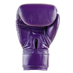  Purple leather boxing glove