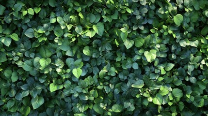 Lush green leaves creating a serene backdrop for text insertion in a vibrant natural setting during daylight hours. Generative AI