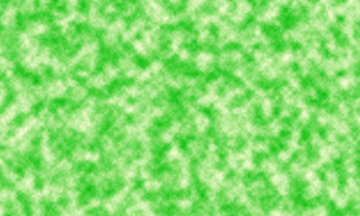 Embracing the Verdant Canvas A Celebration of Green Hues